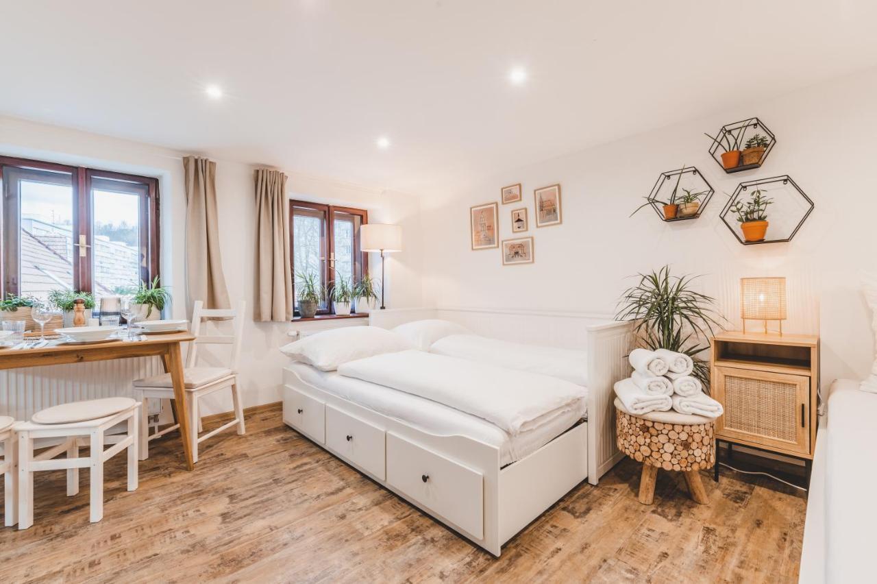 Konekt Apartment Český Krumlov 外观 照片